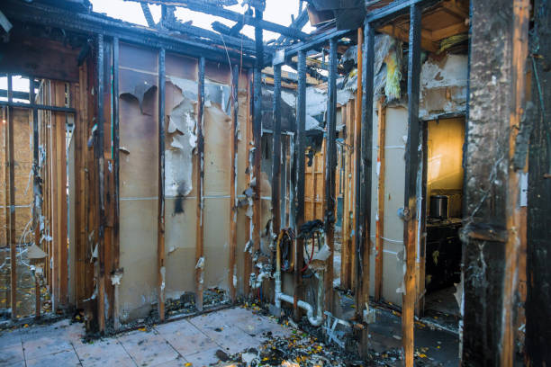 Professional Fire Damage Removal technician working in Moore Haven, FL